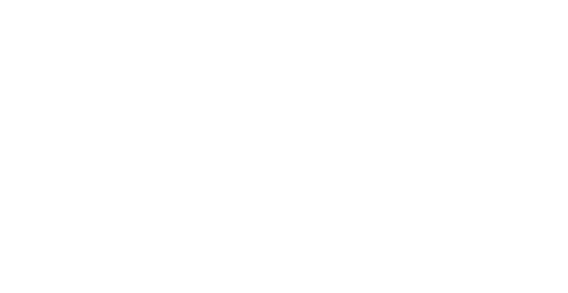 shinwa-auto